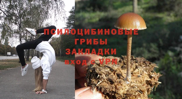 крисы Абаза