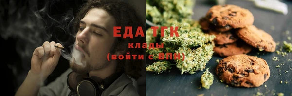 крисы Абаза