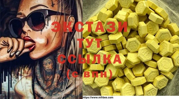 крисы Абаза