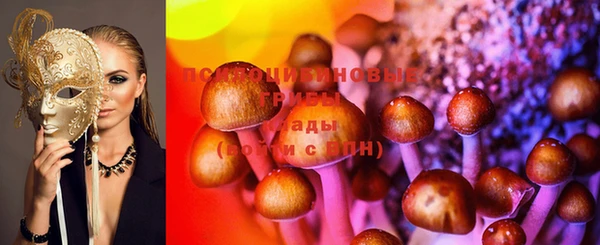крисы Абаза